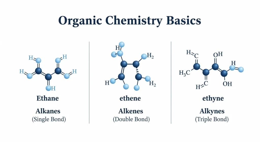 A clear visual guide comparing the molecular structures of ethane (alkanes), ethene (alkenes), and ethyne (alkynes) for chemistry students in Dubai.