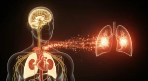 A medical illustration showing the 'fight-or-flight' response, where the brain sends a nerve signal to the adrenal glands, which release adrenaline to the heart and lungs